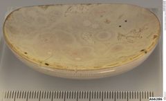 Foto von Quarz (Chalcedon, Achat) (NHMW-MIN-Ab6286)